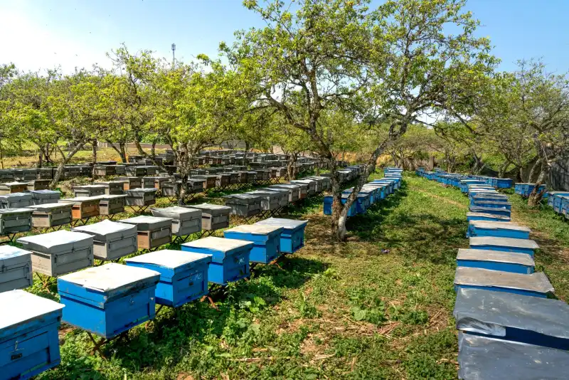 常州地区车辆变速箱油更换周期与维护关键技术要点