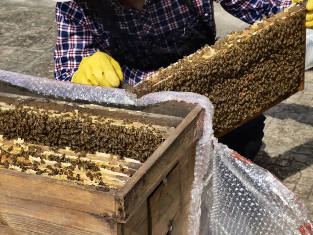 常州地区车辆养护：变速箱油更换周期与选型技术要点分析