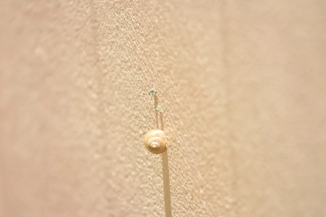 车用防冻液冰点选择与发动机冷却系统养护要点分析